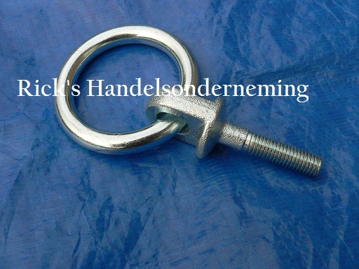 Ringbout met ring M10 x 35 mm